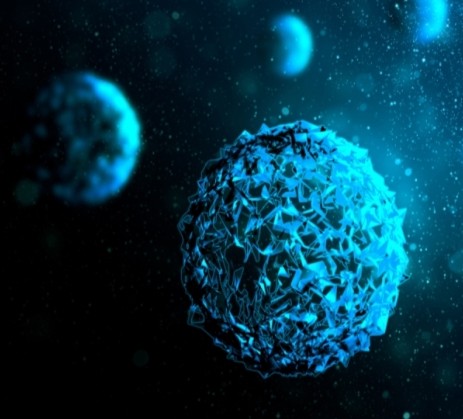 How Tea Tree Oil Disrupts Fungal Cells: The Science Explained